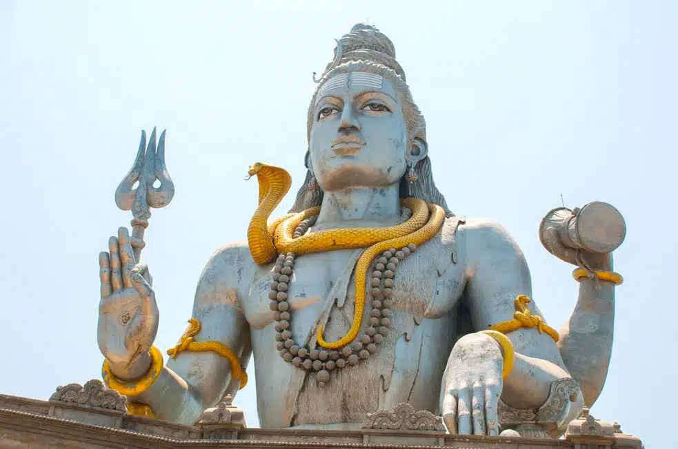 Die Kobra ist das heilige Tier von Shiva, er trägt sie auf vielen Abbildungen um seinen Hals. 